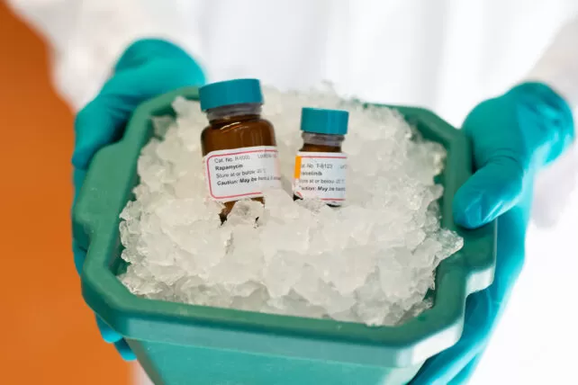 Illustration showing the concept of extending healthy aging through drug treatment