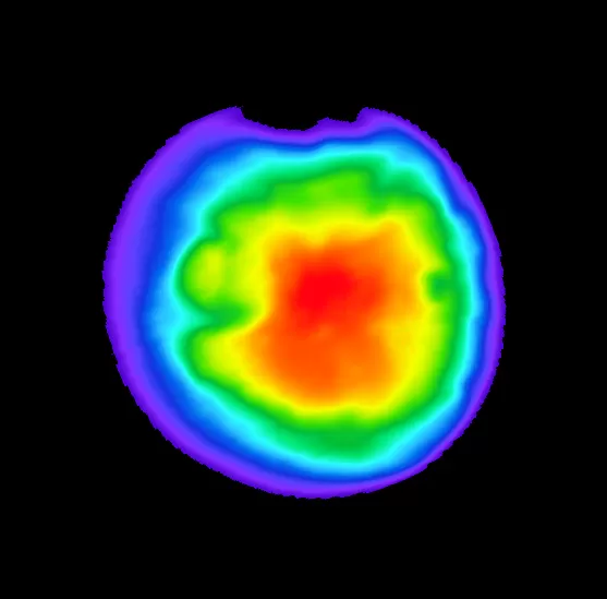 Colorized thermal image of Mars from Europa Clipper