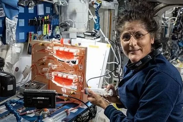Astronaut Sunita Williams operates Plant Water Management-6 hardware on the International Space Station