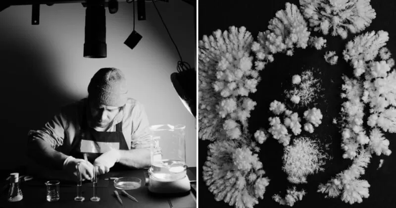 Thomas Blanchard working in his lab and an example of his black and white crystal art