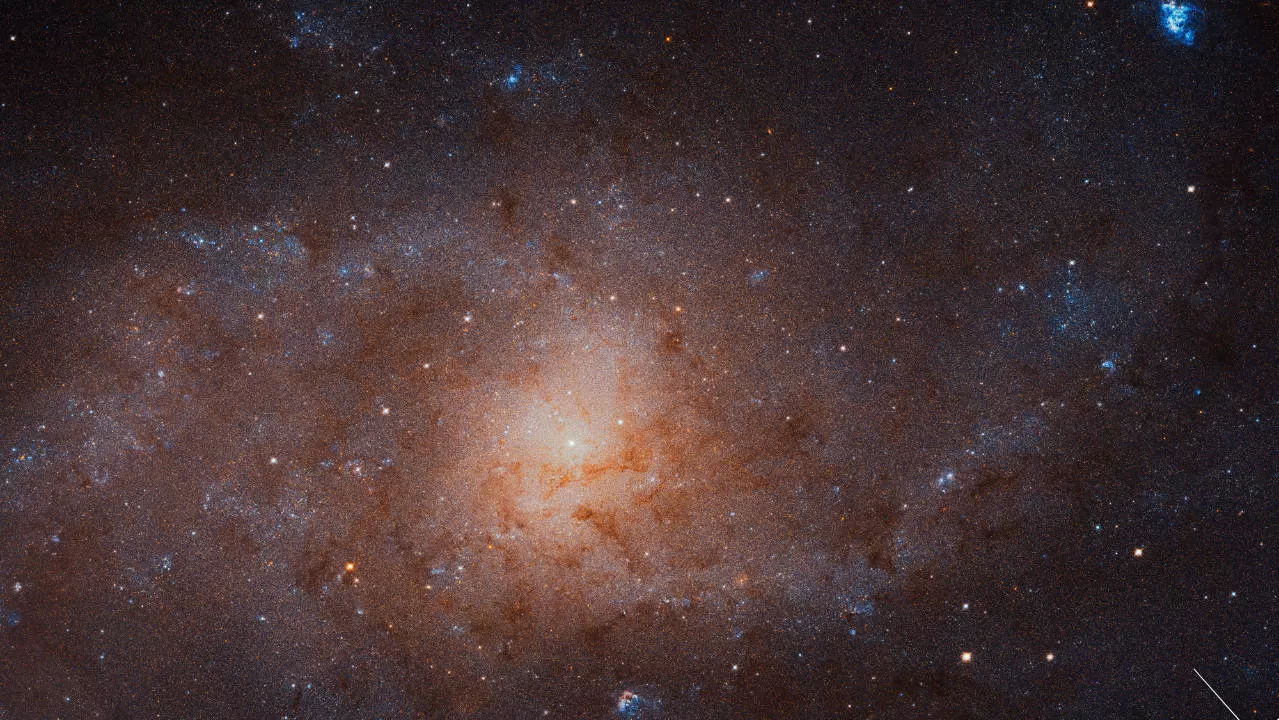 Hubble image showing bright blue regions of intense star formation within a spiral galaxy, highlighting where young, massive stars are born.