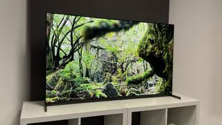 Sony Bravia 8 II QD-OLED TV showcasing vibrant nature content on stand.