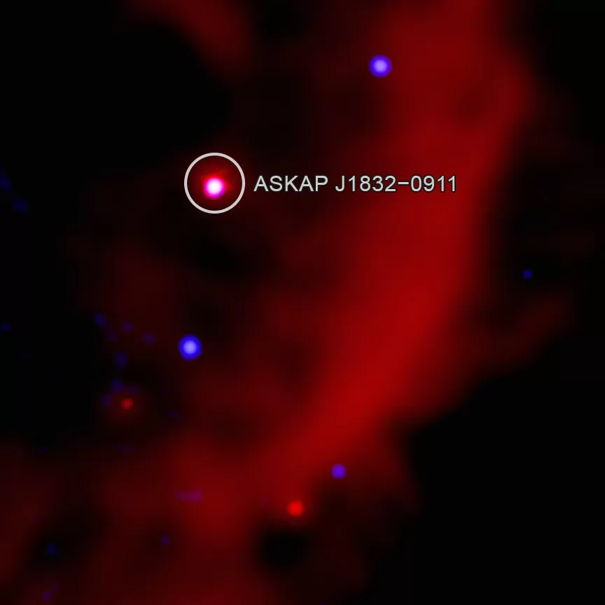 Combined image showing the mysterious cosmic object ASKAP J1832-0911 emitting in both radio waves and X-rays.