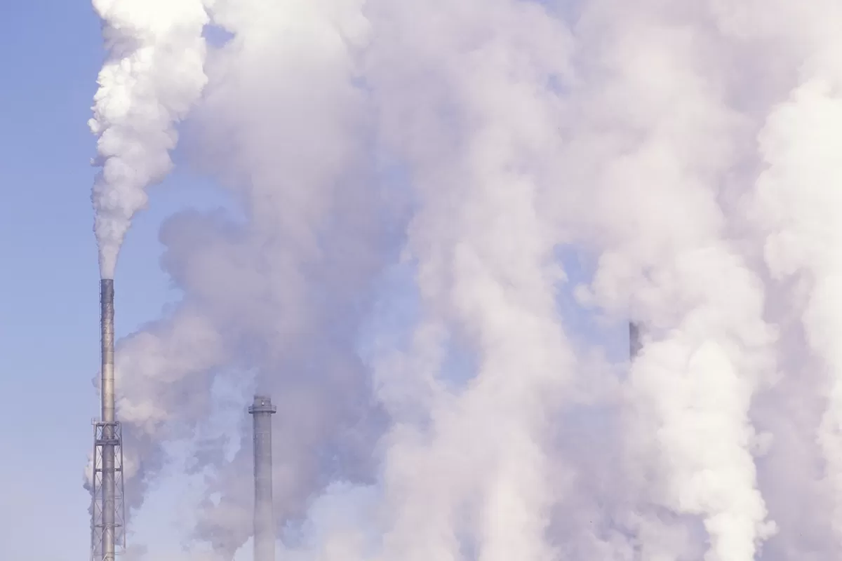 A 34-Million-Year-Old Lost World Found Buried Under Antarctic Ice boise plant