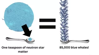 Visual comparison shows that a teaspoon of neutron star material would weigh as much as 85,000 blue whales due to extreme density.