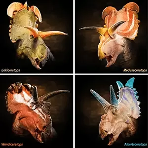 Artistic reconstructions of four different centrosaurine dinosaurs from the Kennedy Coulee Assemblage, highlighting their unique head ornamentation