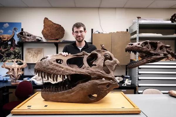 Jared Voris examines a partial dinosaur skull from a tub of fossils, identifying unique features of a new species.